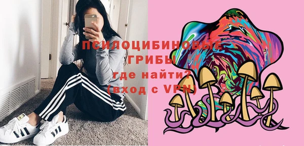 кокс Вяземский