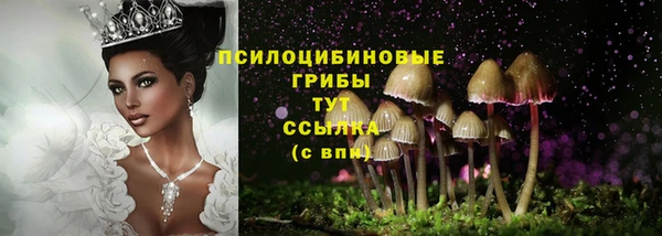 кокс Вяземский