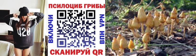 Псилоцибиновые грибы прущие грибы  Рязань 